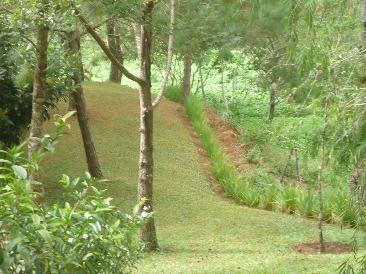 Hotel Casa Gaia Coban Bagian luar foto